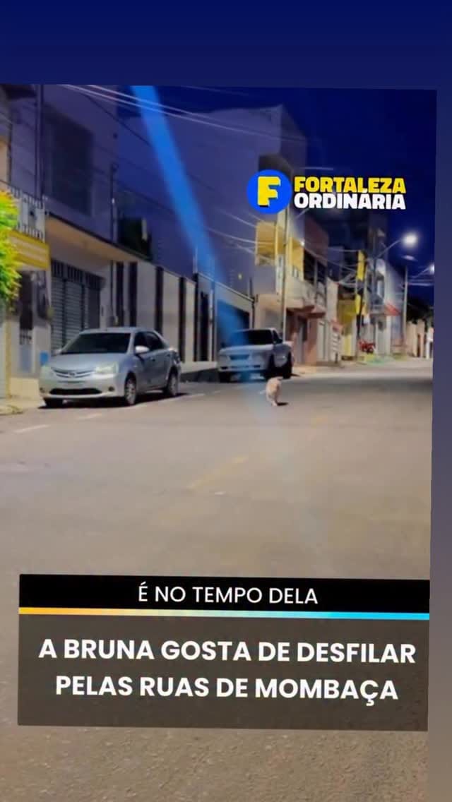Post 8 by Klyvan Azevedo Oficial on Instagram (video)