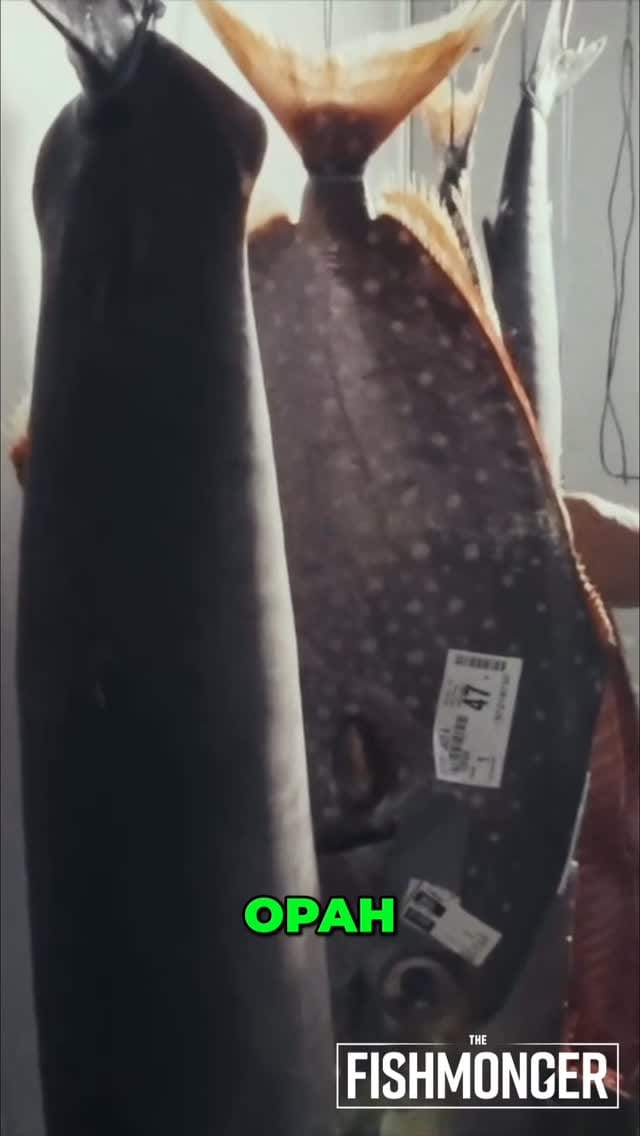 Post 2 by Fairhope Fish House on Instagram (video)