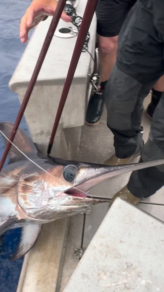 Post 5 by Fairhope Fish House on Instagram (video)