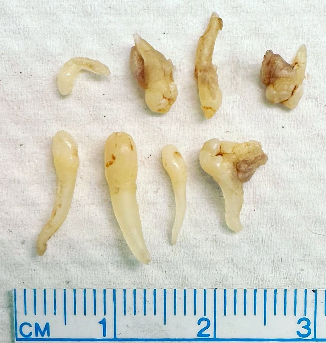 Post 3 by Drs. K Cordell & M Rosebush on Instagram (image)