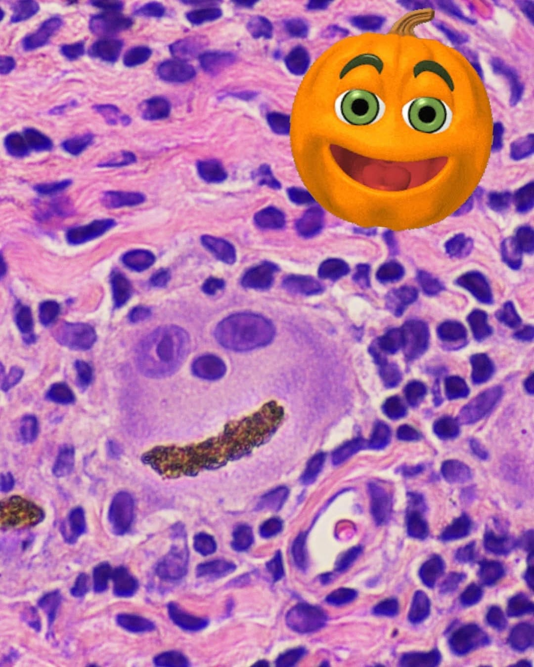 Post 8 by Drs. K Cordell & M Rosebush on Instagram (image)