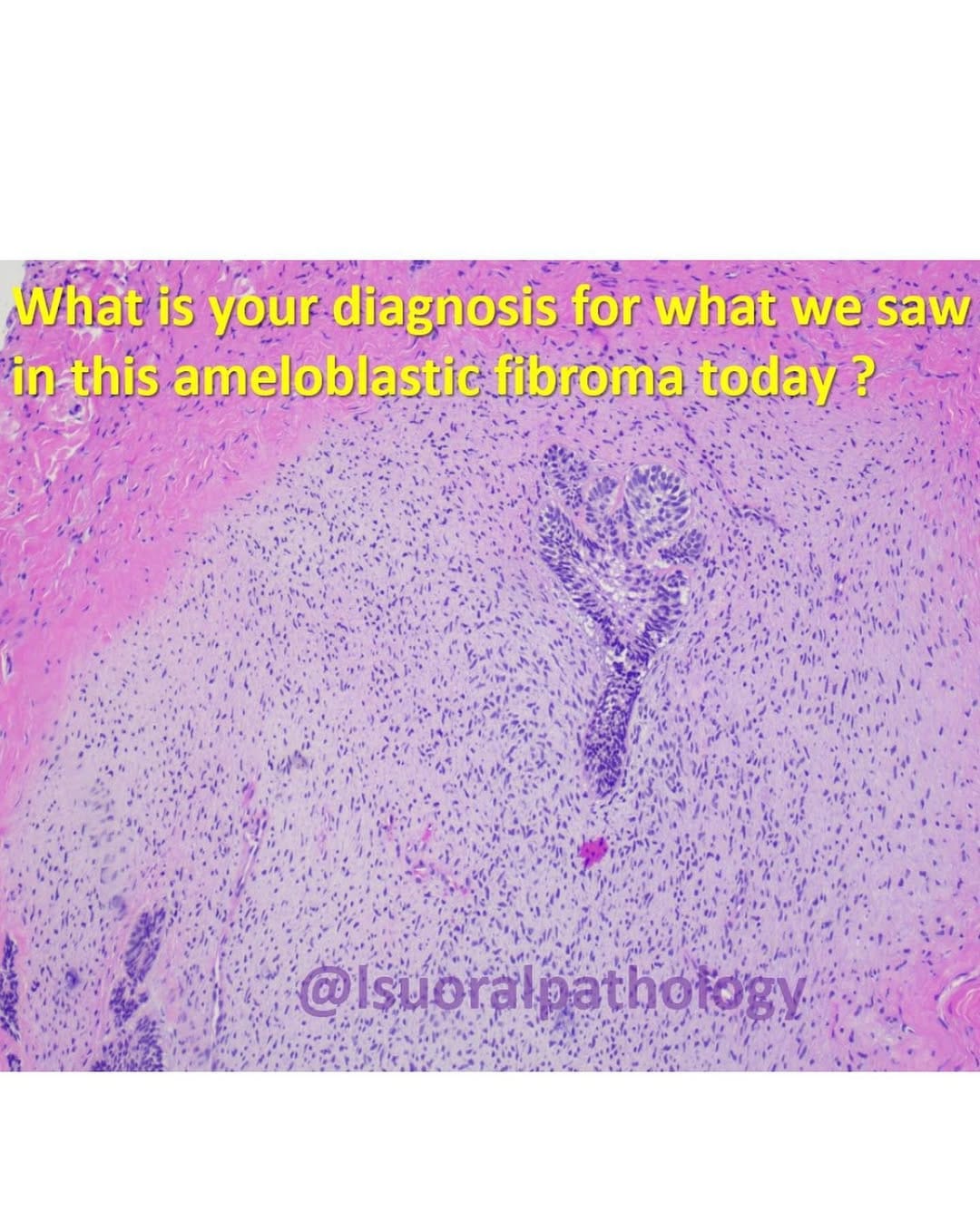 Post 6 by Drs. K Cordell & M Rosebush on Instagram (carousel)