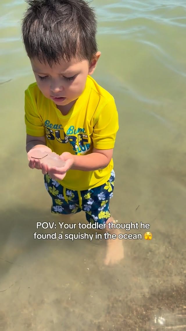Post 2 by MARILYN B. on Instagram (video)
