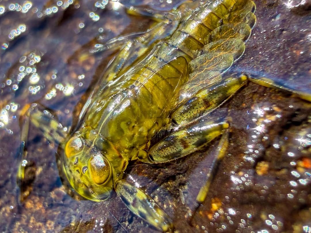 Post 1 by Lost Coast Outfitters on Instagram (image)