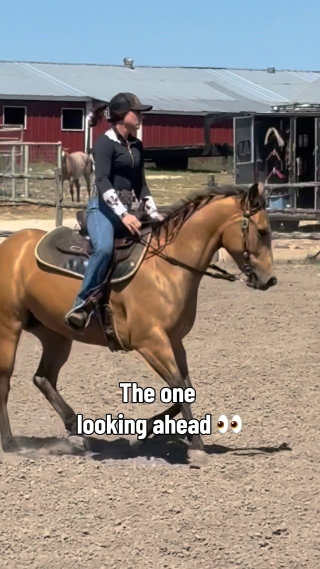 Post 8 by Krista Leutzinger on Instagram (video)
