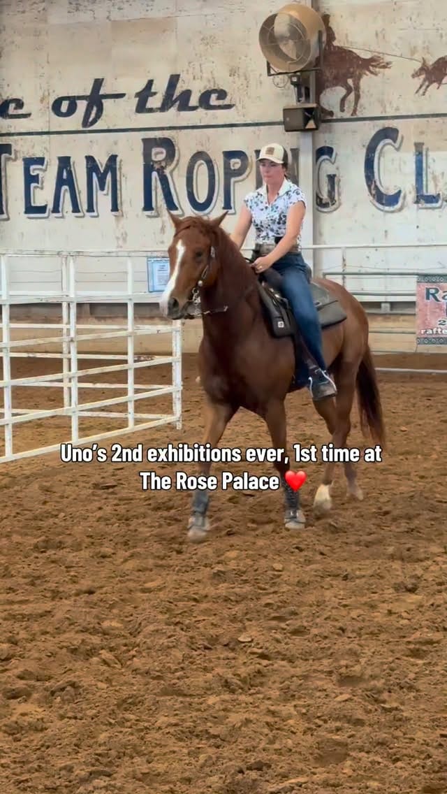 Post 7 by Krista Leutzinger on Instagram (video)