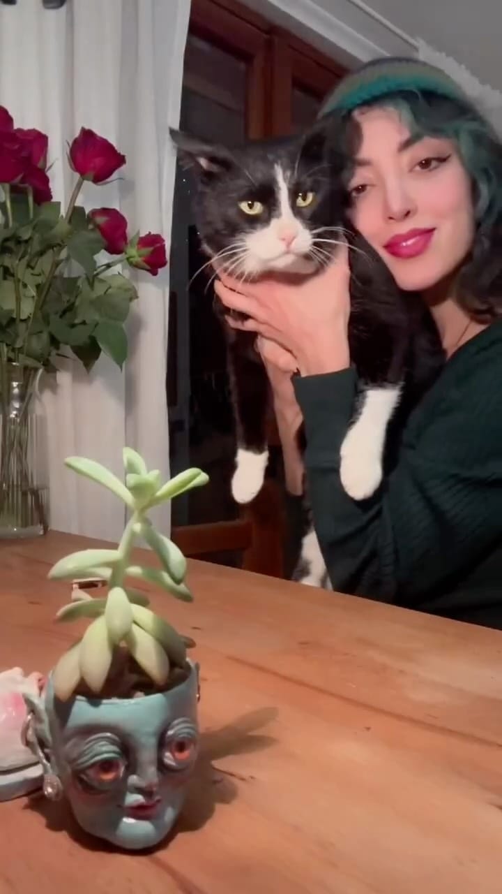 Post 3 by پَردیس موسوی | paradise mousavi on Instagram (video)