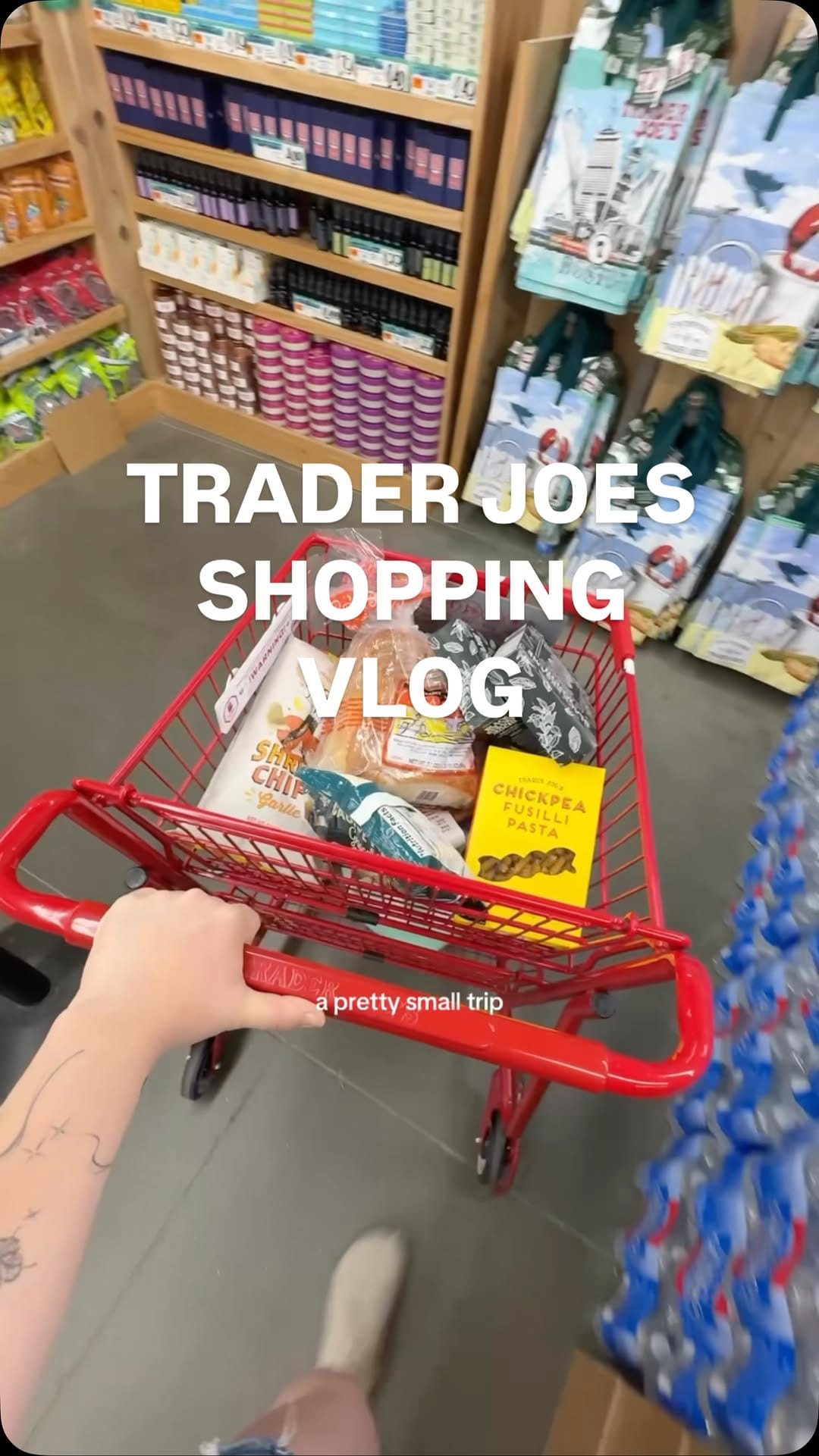 Post 2 by complanie | boston vlogger on Instagram (video)