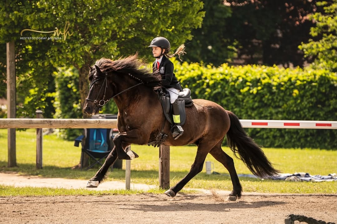 Post 9 by Islandpferdegestüt Kronshof on Instagram (carousel)