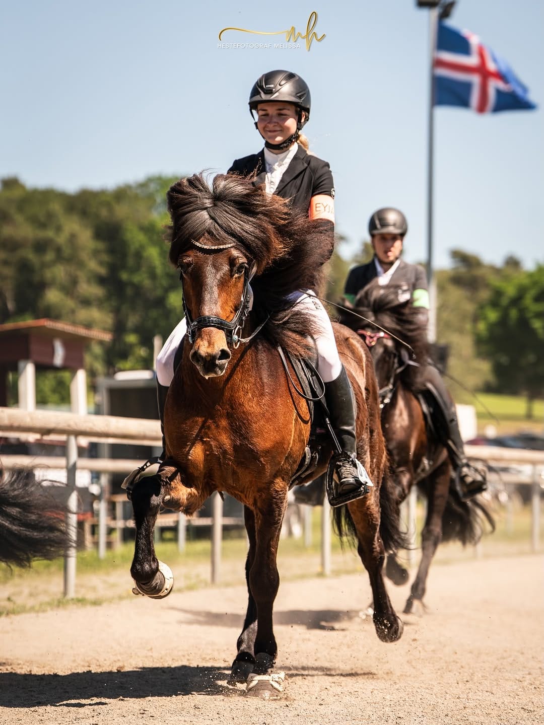 Post 2 by Islandpferdegestüt Kronshof on Instagram (carousel)