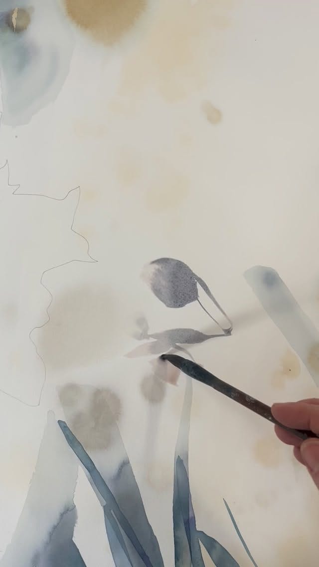 Post 6 by Elise Morris on Instagram (video)