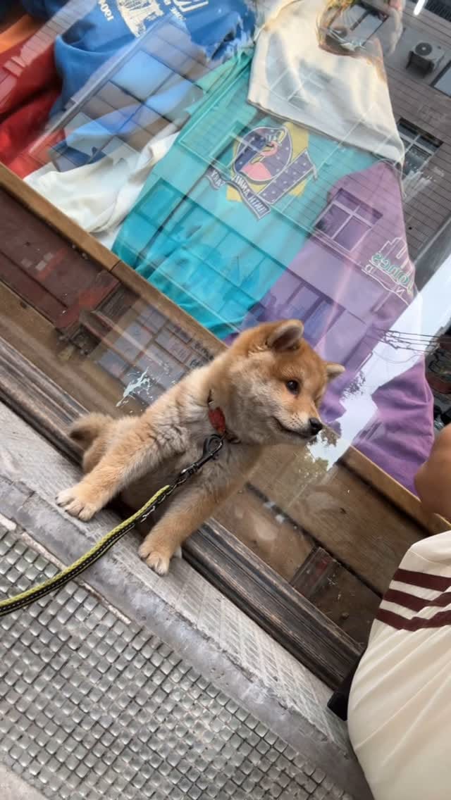 Post 10 by evie on Instagram (video)