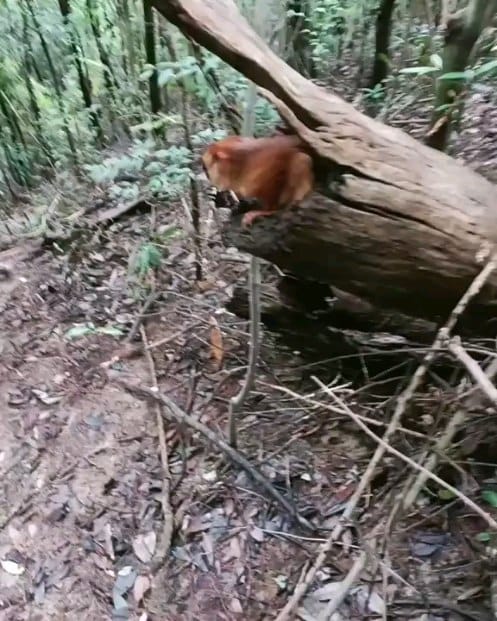 Post 10 by Jeremy Farmer, Lord on Instagram (video)