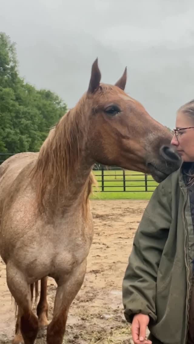 Post 7 by Nenah Demunster on Instagram (video)