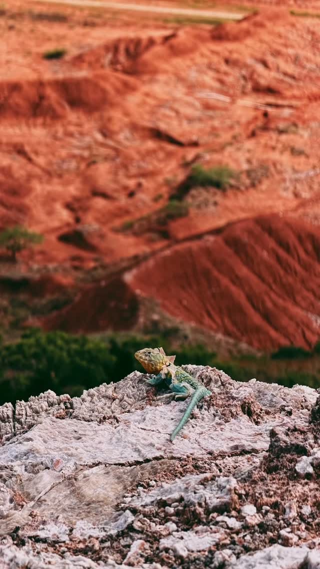 Post 1 by Nenah Demunster on Instagram (video)