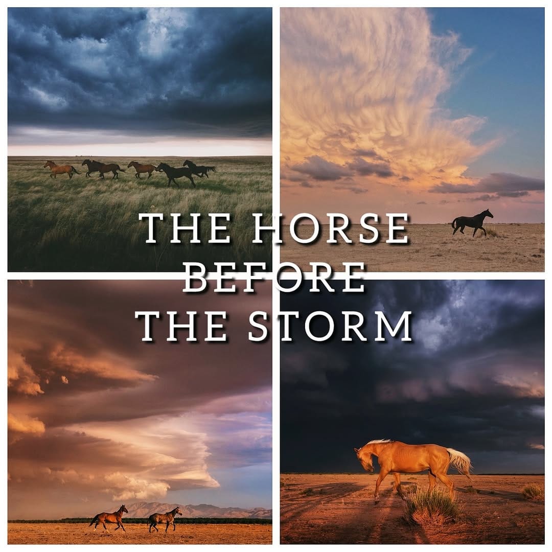 Post 8 by Nenah Demunster on Instagram (carousel)