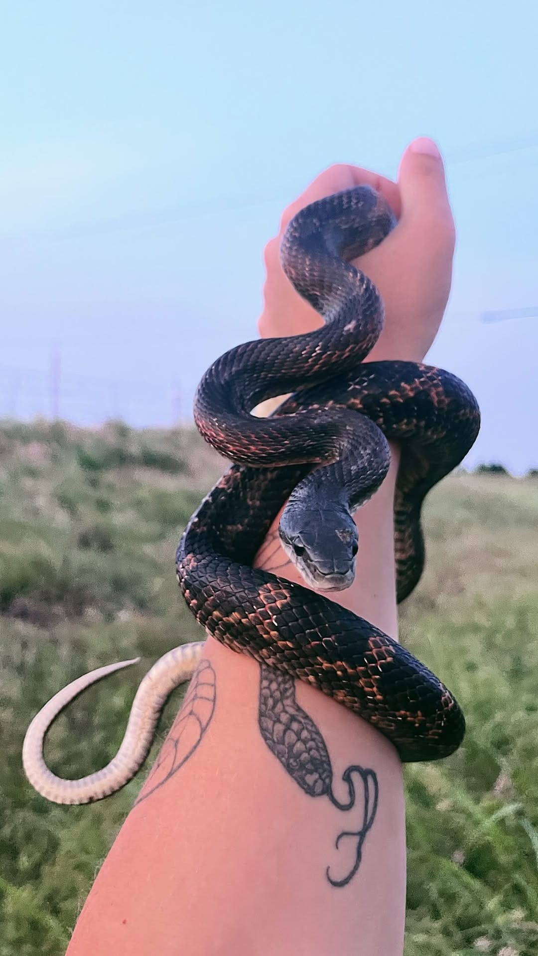 Post 2 by Nenah Demunster on Instagram (video)