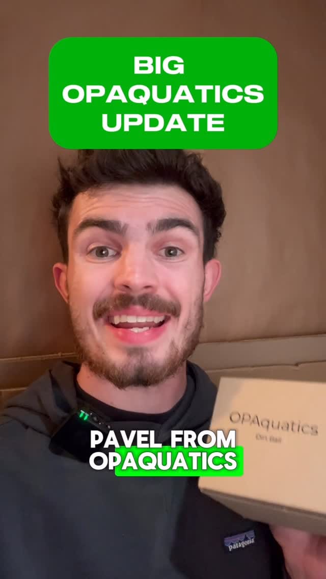 Post 2 by @opaquatics on Instagram (video)