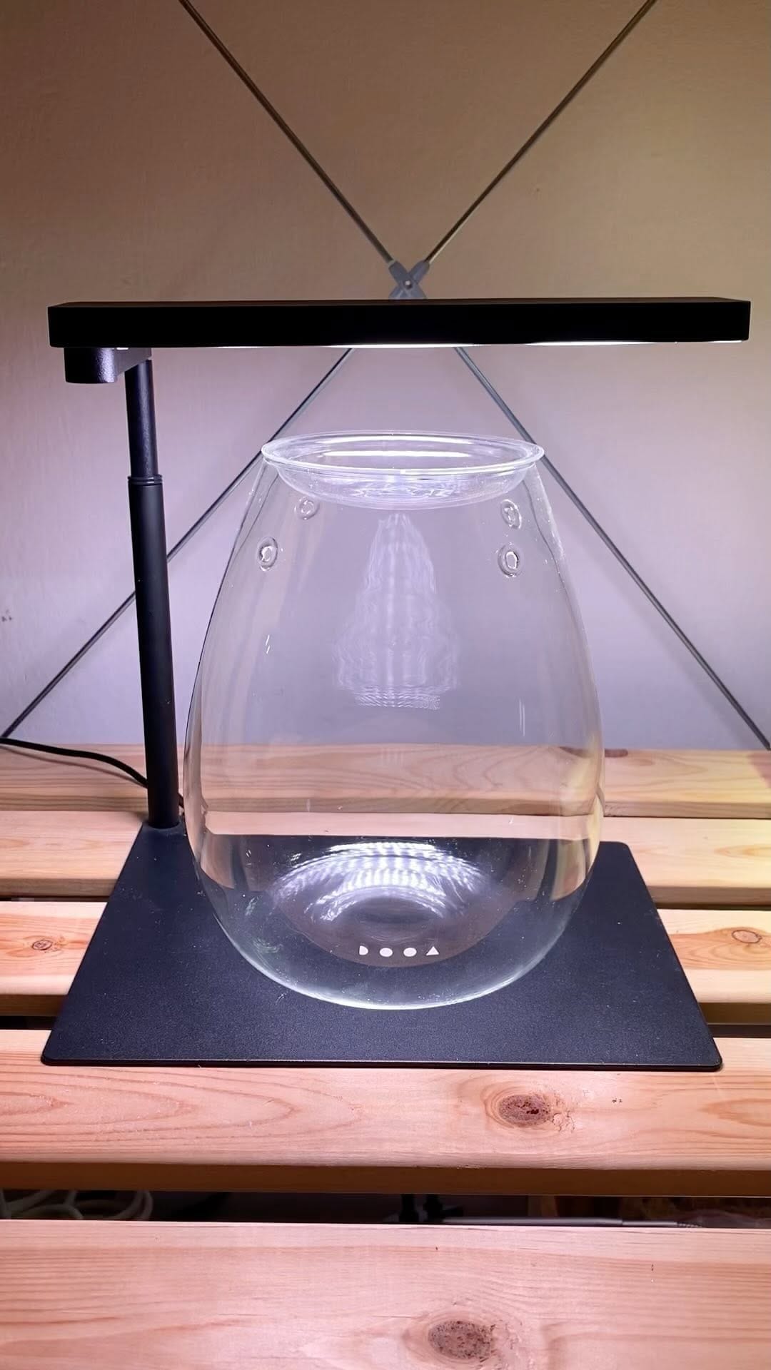Post 8 by @opaquatics on Instagram (video)