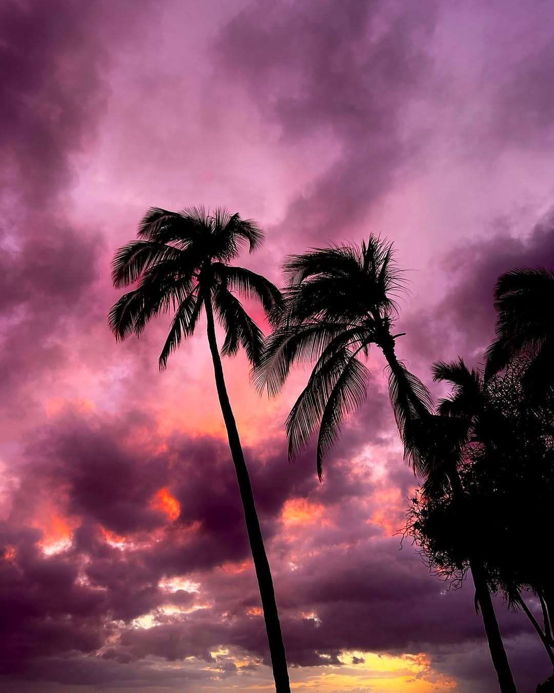 Post 4 by I.Aoyagi | ALOHA LIVING Inc. on Instagram (image)