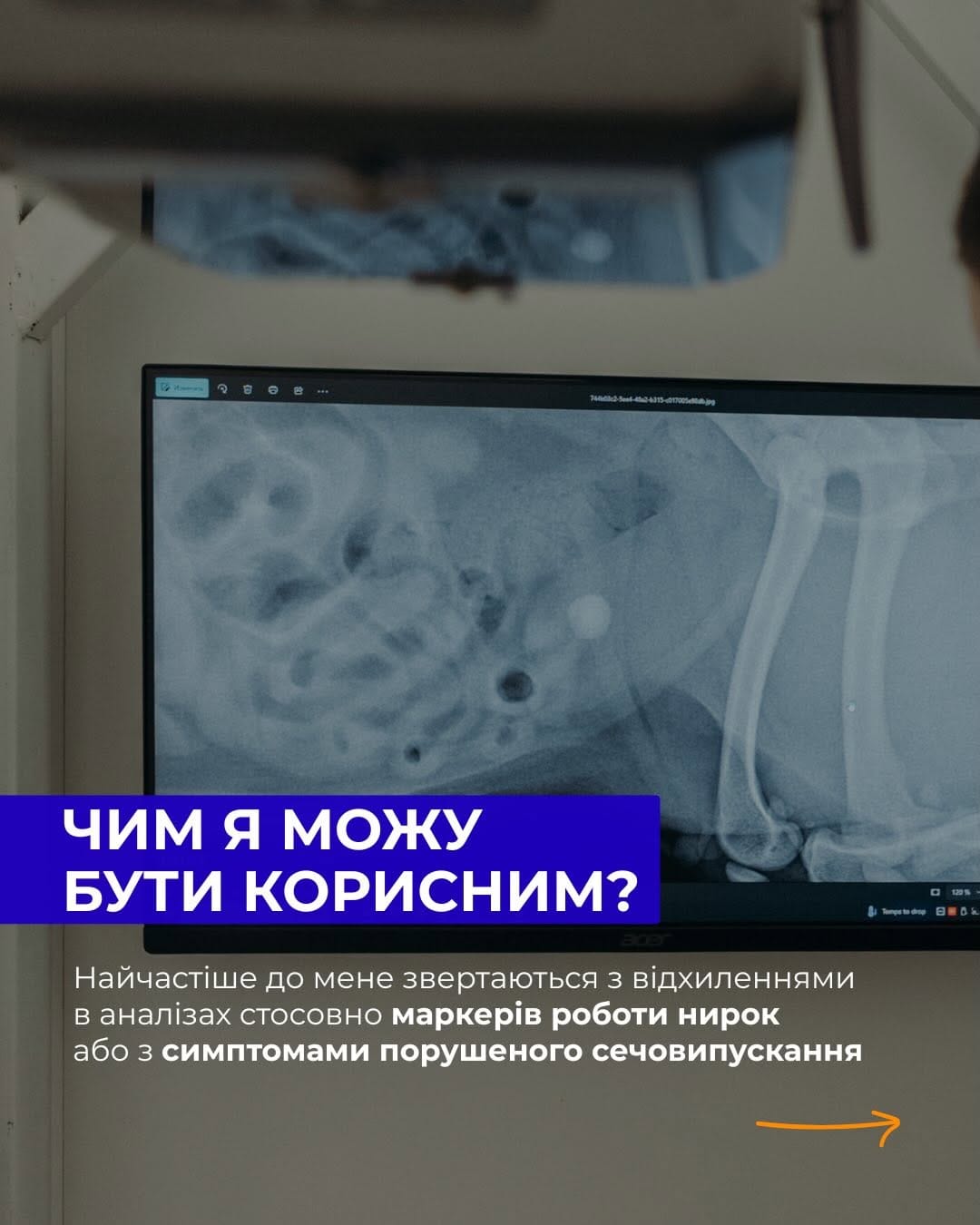Post 9 by УМАНЕЦЬ МИХАЙЛО | ВЕТЛІКАР | НЕФРОЛОГ | УРОЛОГ on Instagram (carousel)