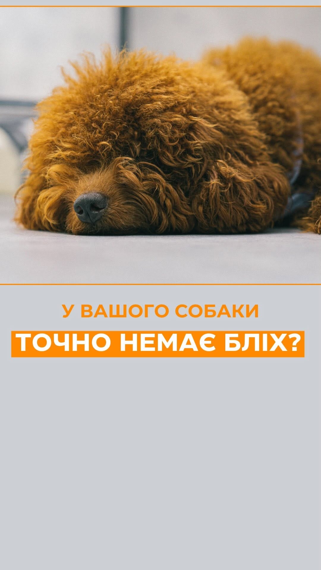 Post 6 by УМАНЕЦЬ МИХАЙЛО | ВЕТЛІКАР | НЕФРОЛОГ | УРОЛОГ on Instagram (video)