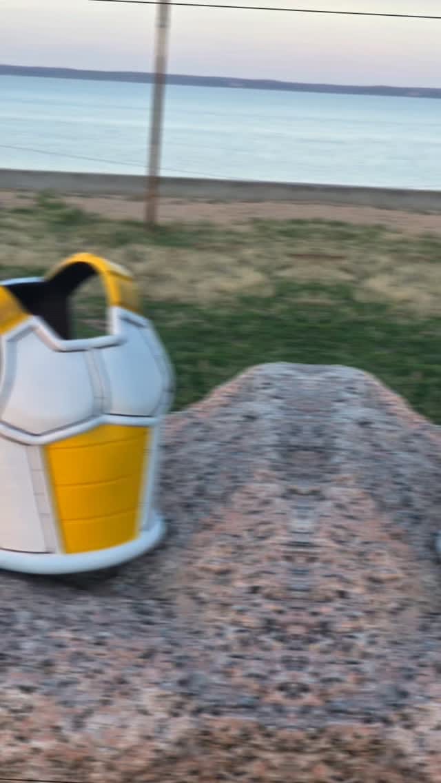 Post 1 by BOBA JOE CARRERA on Instagram (video)