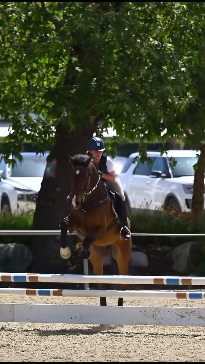 Post 2 by Novak Equestrian on Instagram (video)