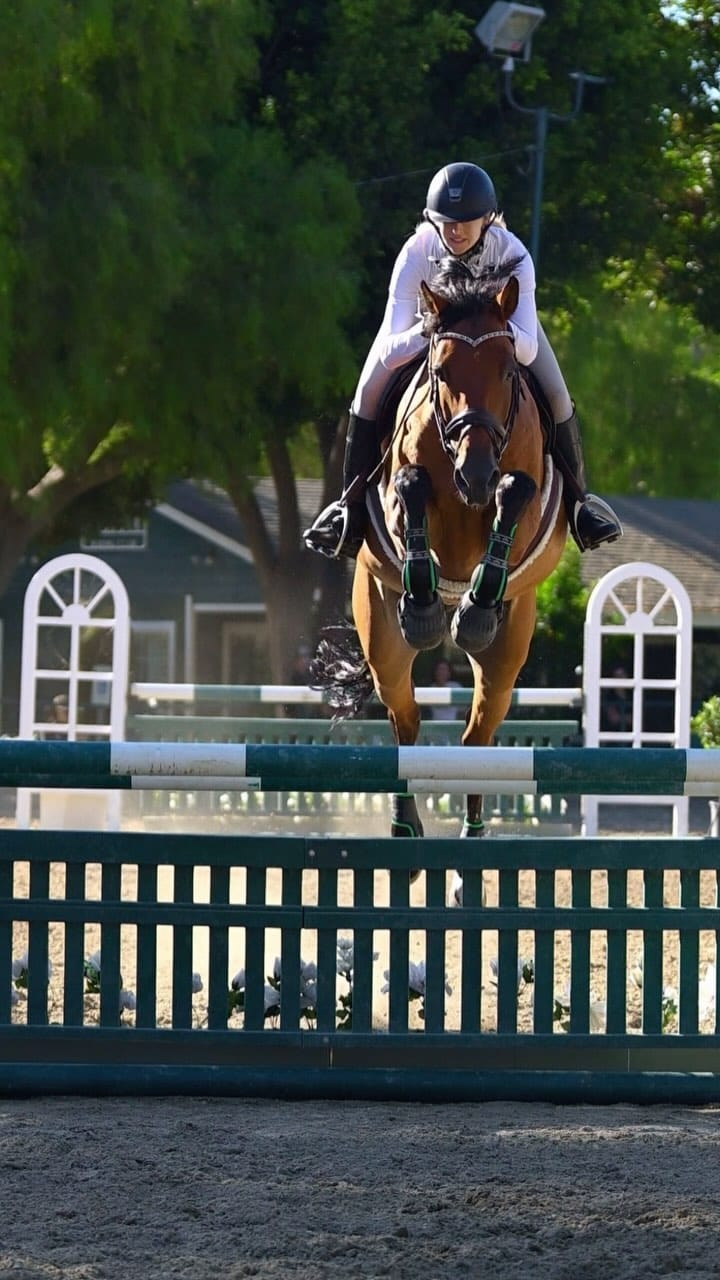 Post 10 by Novak Equestrian on Instagram (video)