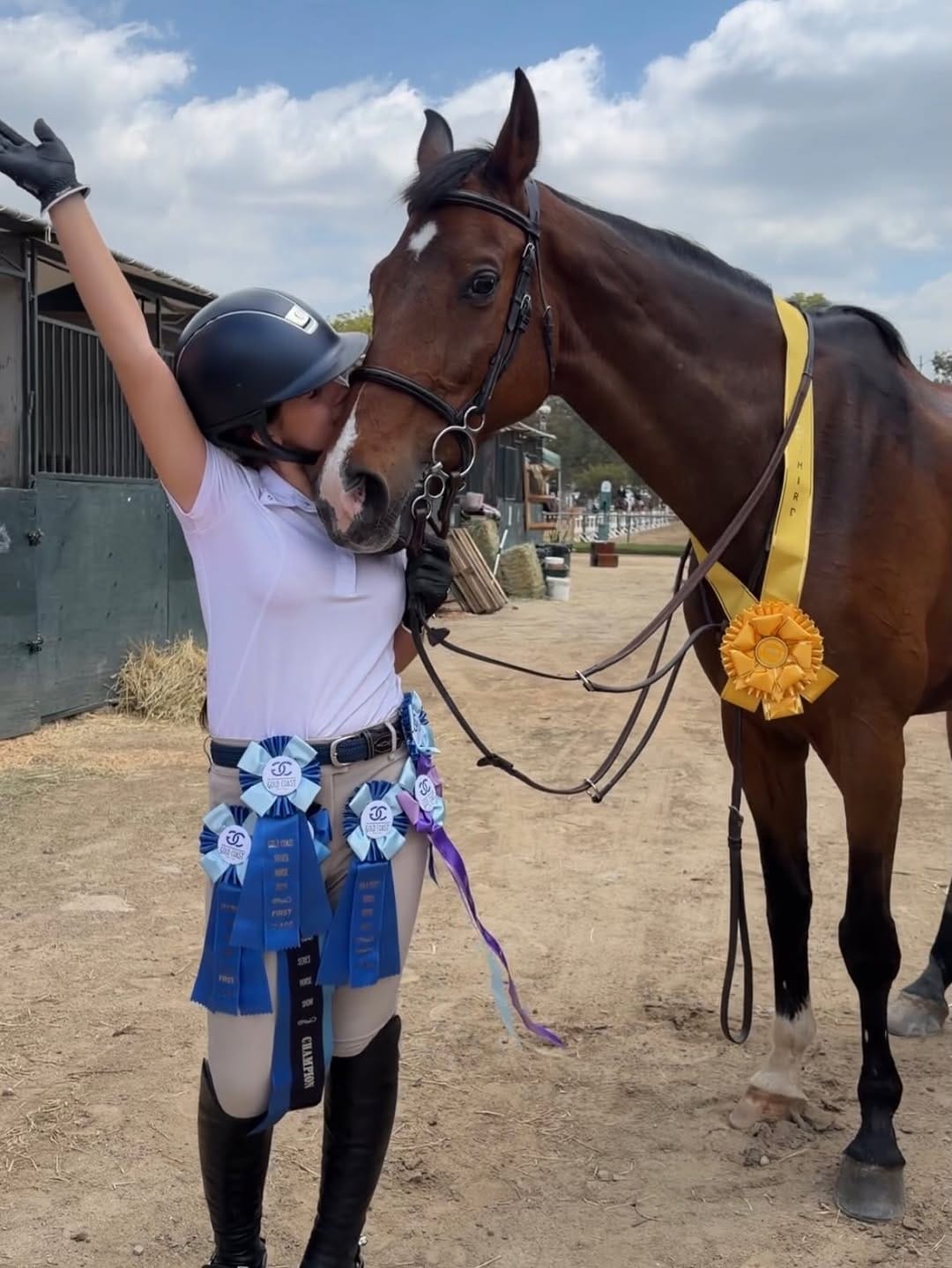 Post 1 by Novak Equestrian on Instagram (carousel)
