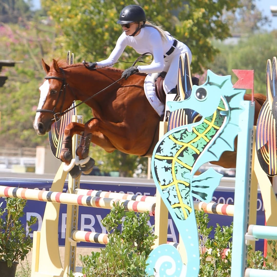 Post 8 by Novak Equestrian on Instagram (carousel)