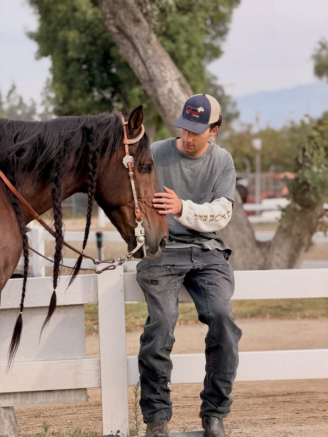 Post 3 by Novak Equestrian on Instagram (carousel)