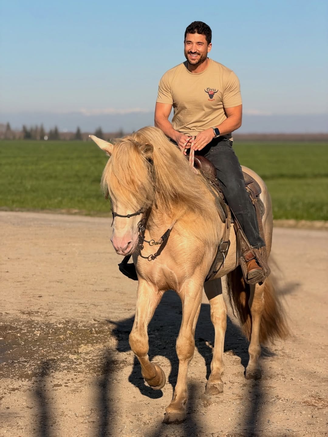 Post 6 by Novak Equestrian on Instagram (carousel)