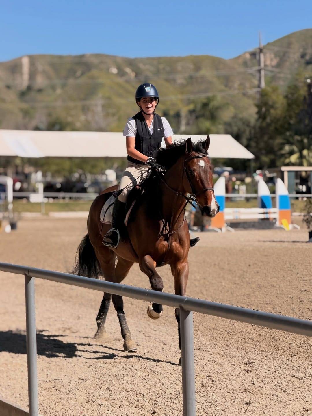 Post 5 by Novak Equestrian on Instagram (carousel)
