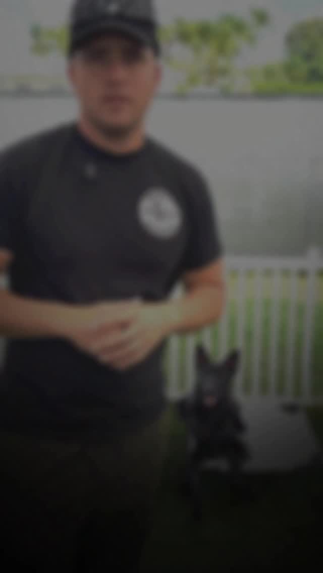 Post 3 by Duran’s K-9 Training on Instagram (video)