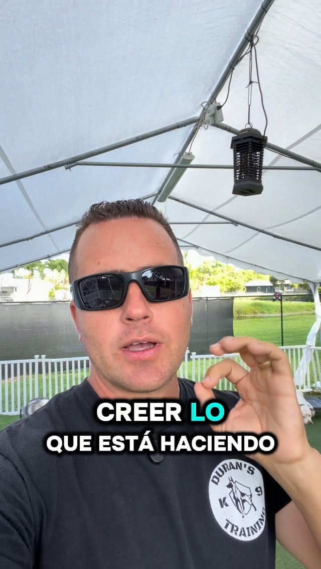 Post 5 by Duran’s K-9 Training on Instagram (video)