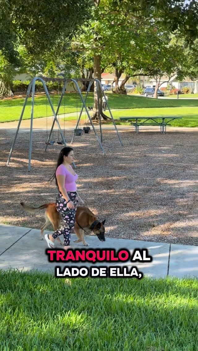 Post 9 by Duran’s K-9 Training on Instagram (video)