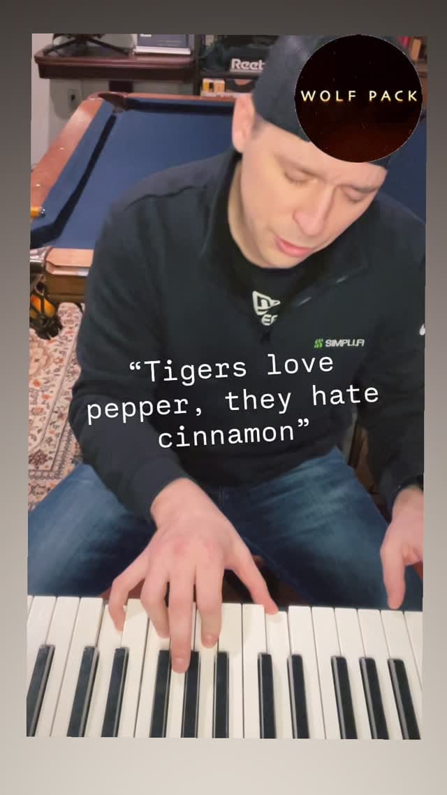 Post 8 by Tom Balanda on Instagram (video)