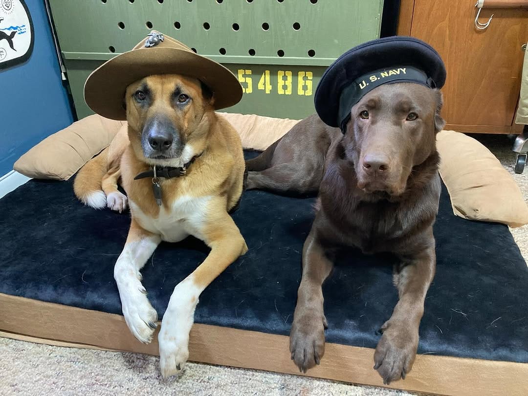 Post 9 by Department of the Seadog on Instagram (carousel)