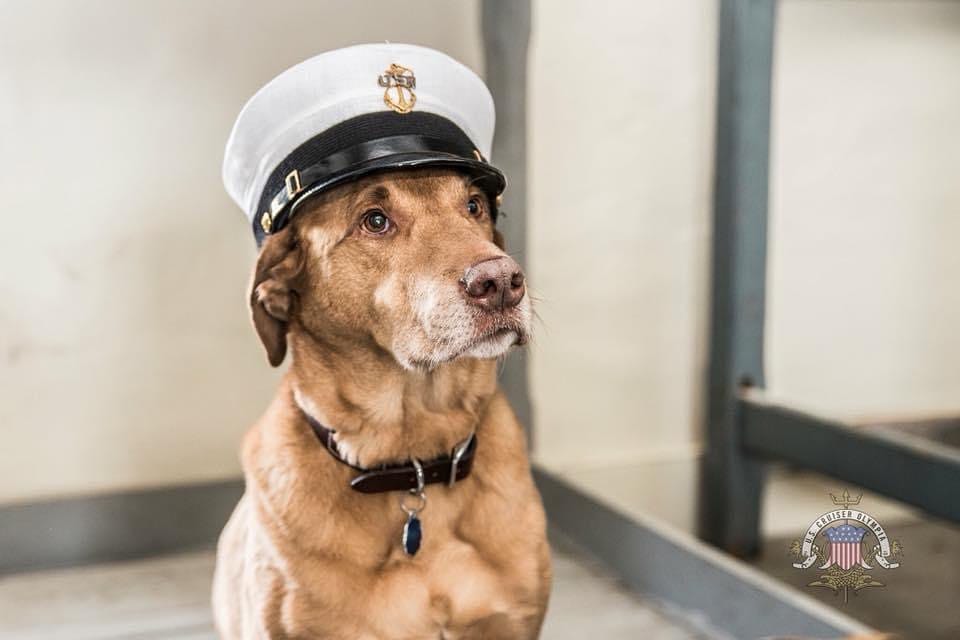 Post 10 by Department of the Seadog on Instagram (image)