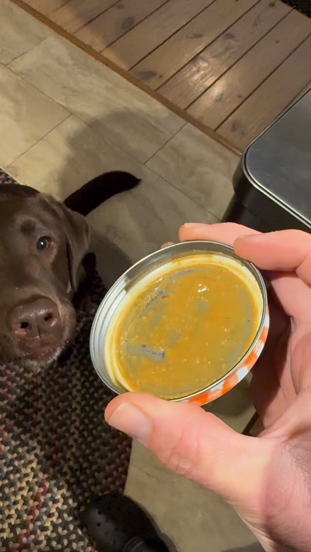 Post 1 by Department of the Seadog on Instagram (video)