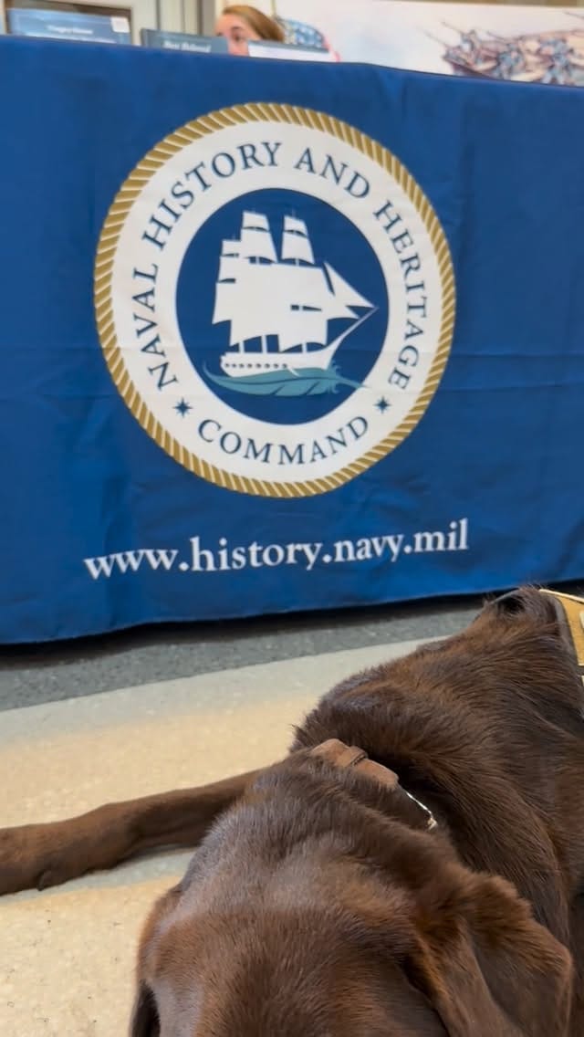 Post 7 by Department of the Seadog on Instagram (video)