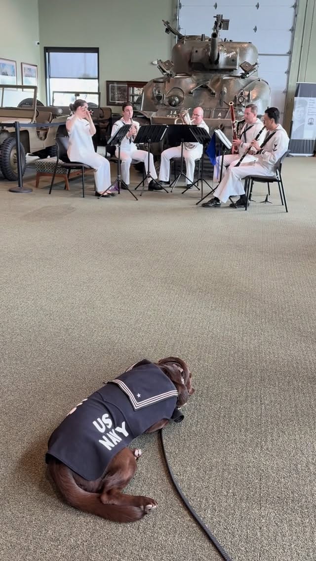 Post 4 by Department of the Seadog on Instagram (video)