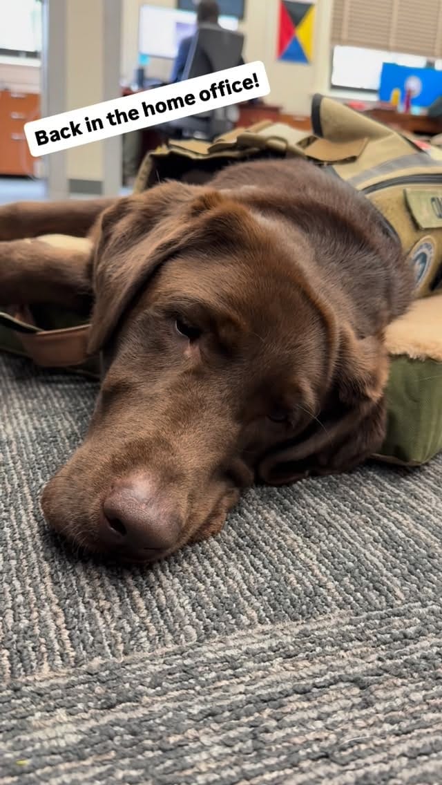 Post 3 by Department of the Seadog on Instagram (video)