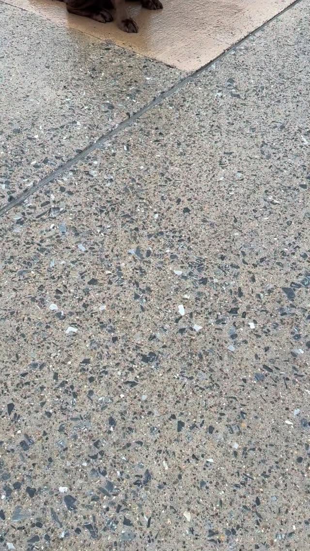 Post 5 by Department of the Seadog on Instagram (video)