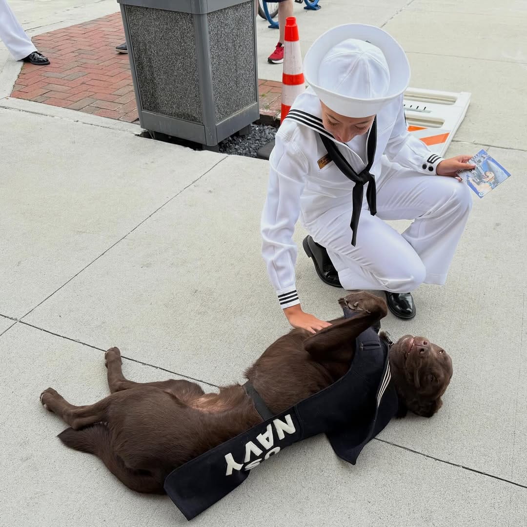 Post 6 by Department of the Seadog on Instagram (carousel)