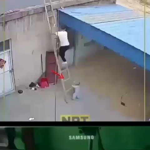 Post 2 by An individual on Instagram (video)