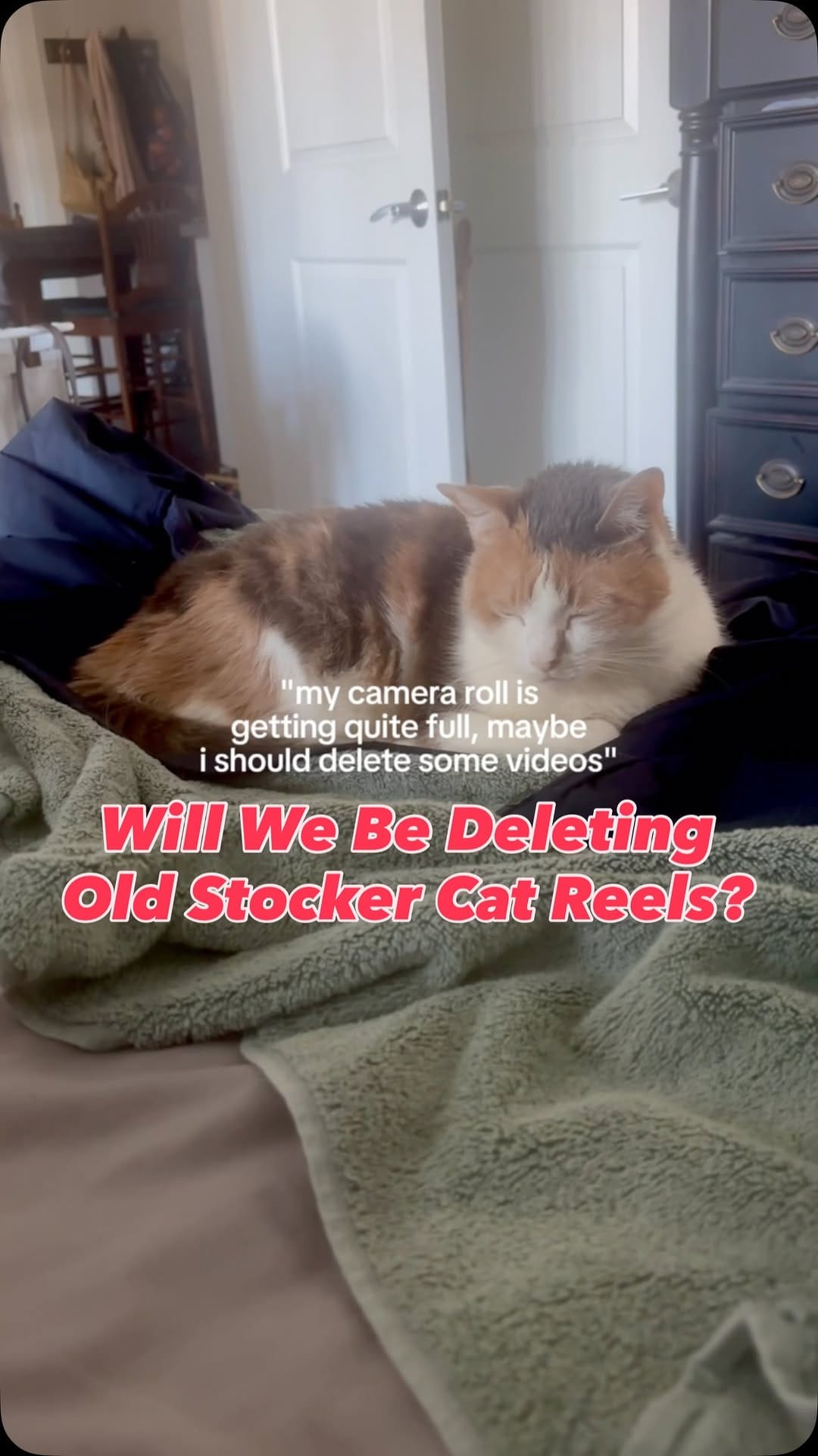Post 1 by Michael Timothy Stocker on Instagram (video)
