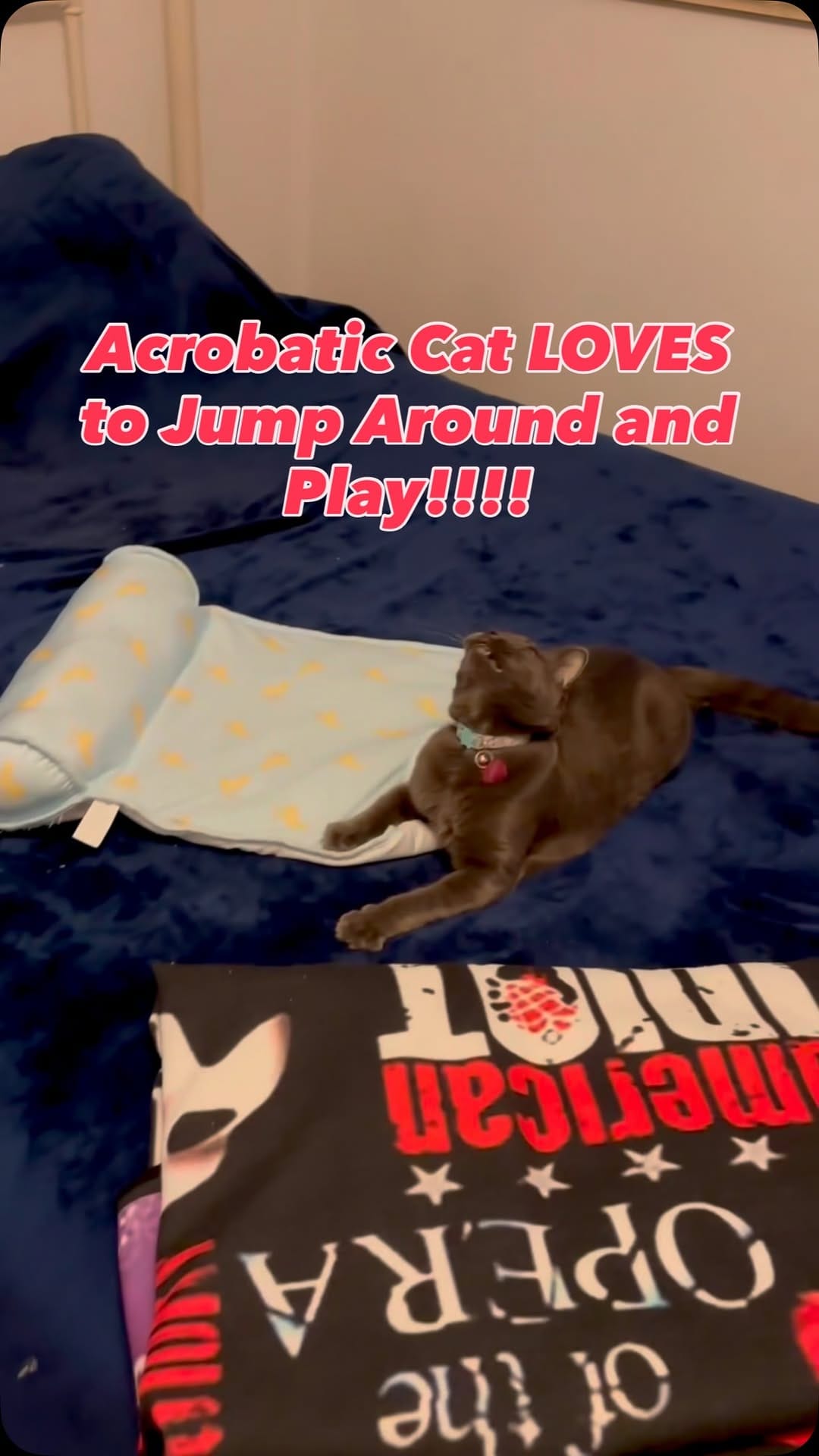 Post 6 by Michael Timothy Stocker on Instagram (video)