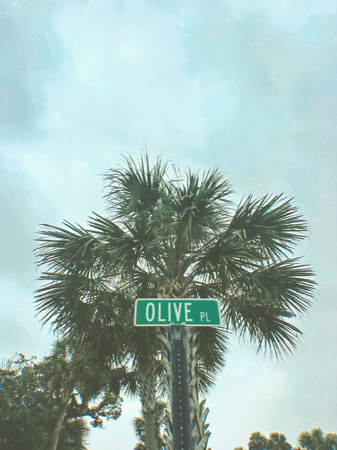 Post 1 by Olivia Kleman on Instagram (image)